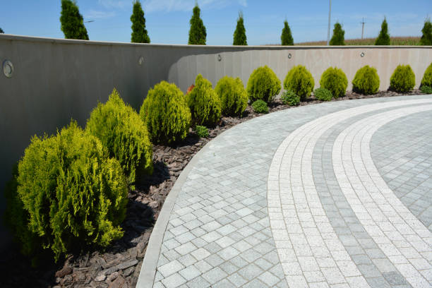 Best Affordable Driveway Paving  in Van Meter, IA