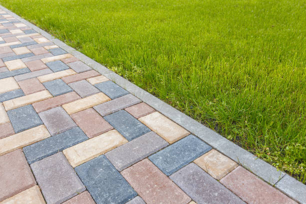 Best Driveway Paving Contractor  in Van Meter, IA